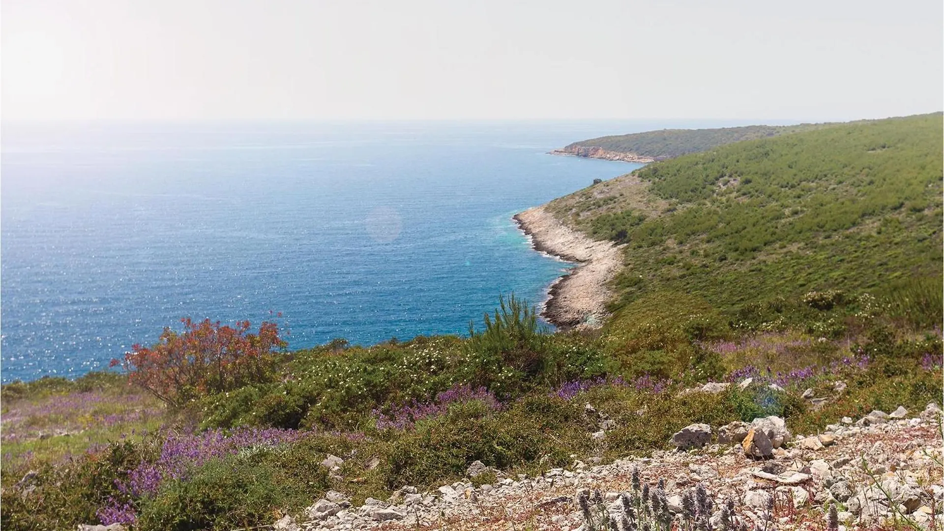Lovely Home In Pula With Kitchen Premantura Holiday home